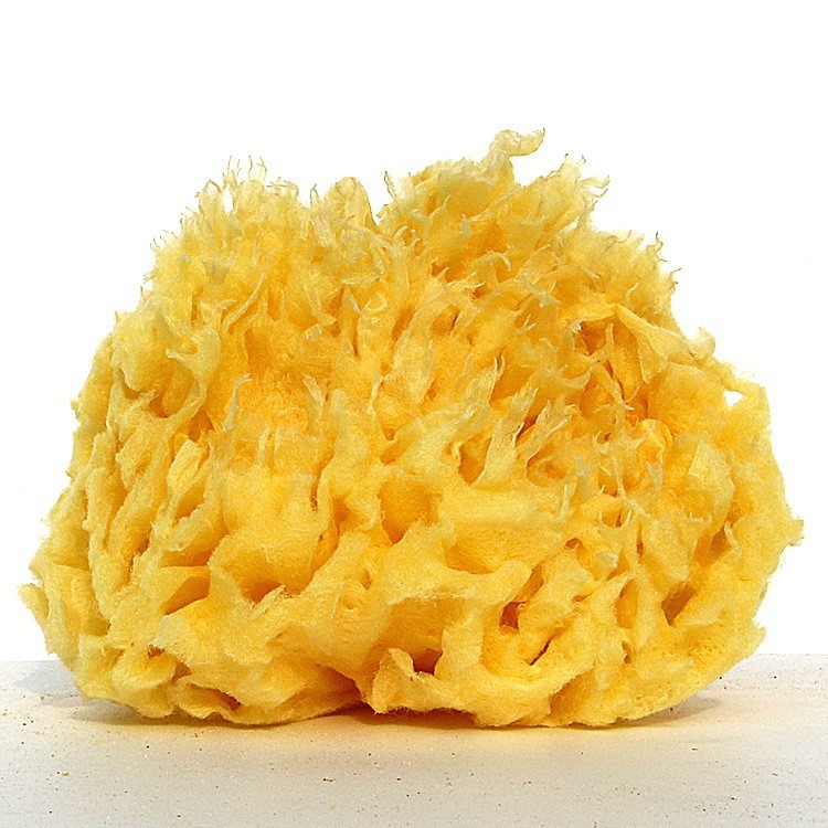 In che modo la spugna naturale greca può migliorare la tua esperienza di bagno?